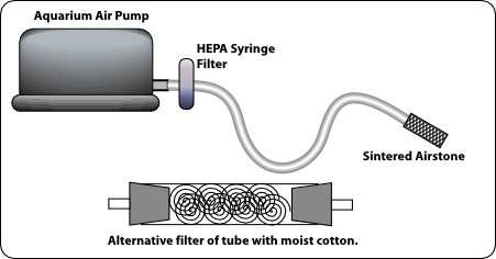 Fichier:1 6 9.2 Oxygen1.jpg